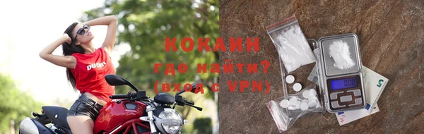 твердый Коряжма