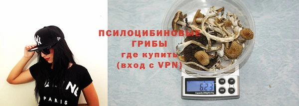 прущая мука Корсаков