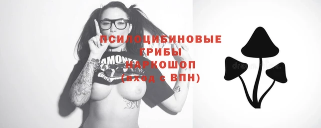 прущая мука Корсаков