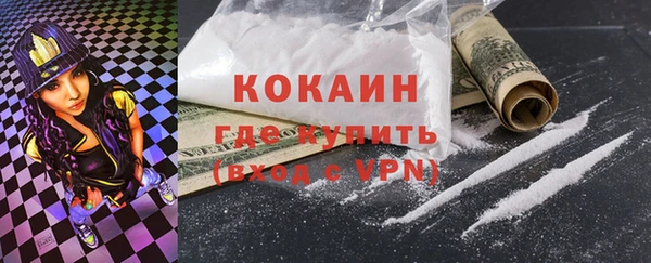 твердый Коряжма