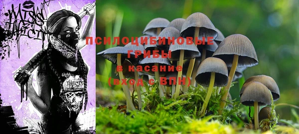 прущая мука Корсаков