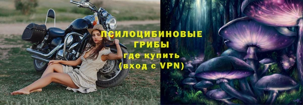 прущая мука Корсаков