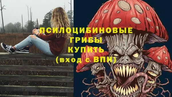 спиды Костерёво