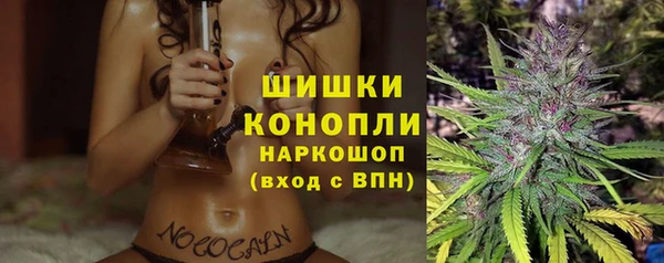 твердый Коряжма