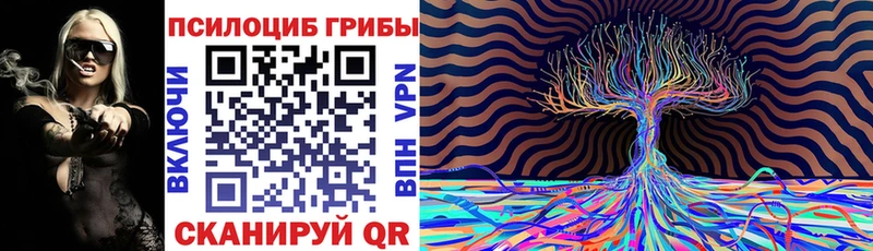 блэк спрут ONION  Кондрово  Галлюциногенные грибы Cubensis 